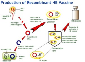 GE-vaccine