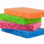 sponges