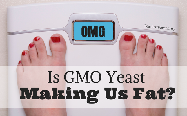 Is Genetically Modified Yeast Making Us Fat?