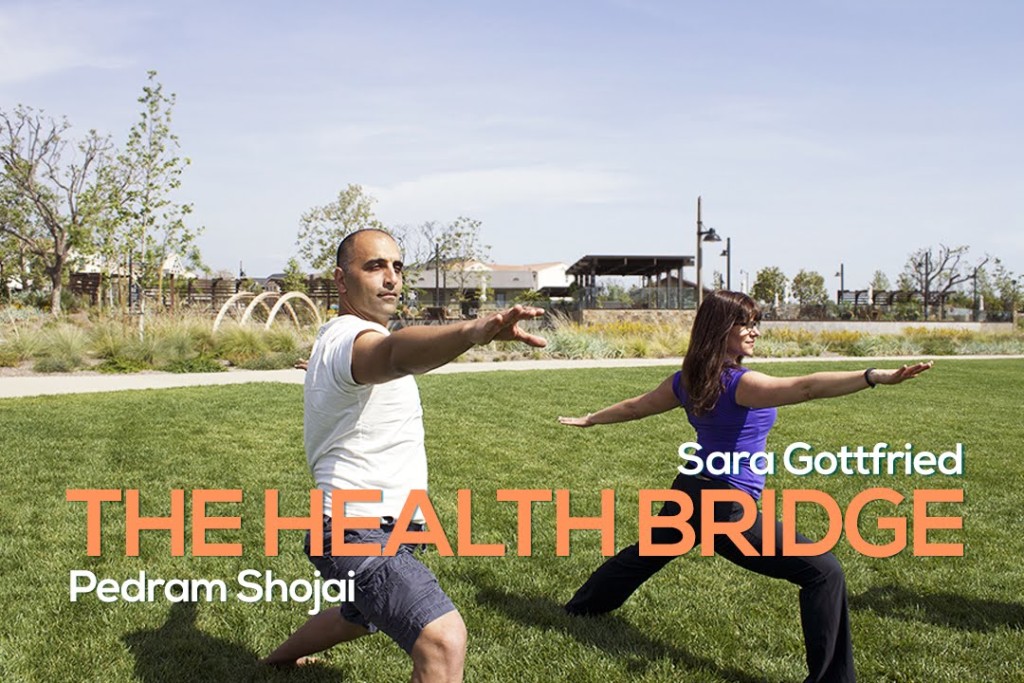 health-bridge-pedram-2-11-15